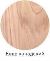 Кедр канадский