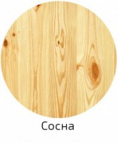 Сосна