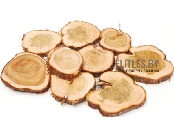 Спилы для панно из можжевельника