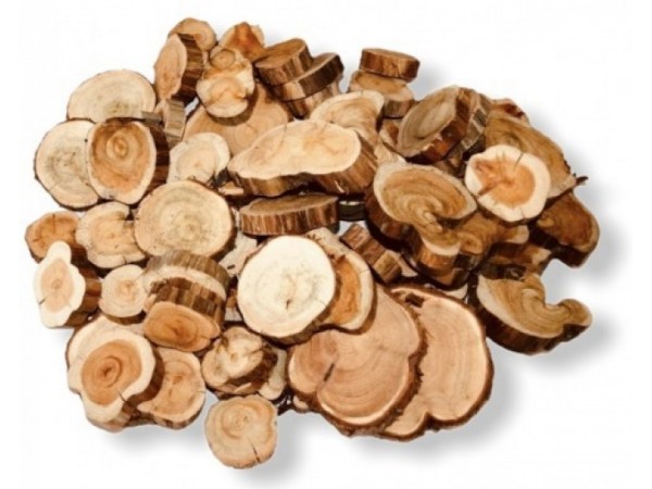 Спилы для панно из можжевельника